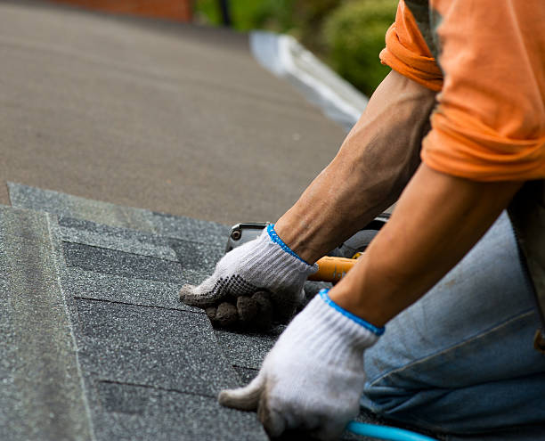 Best Best Roofing Contractors  in Willmar, MN
