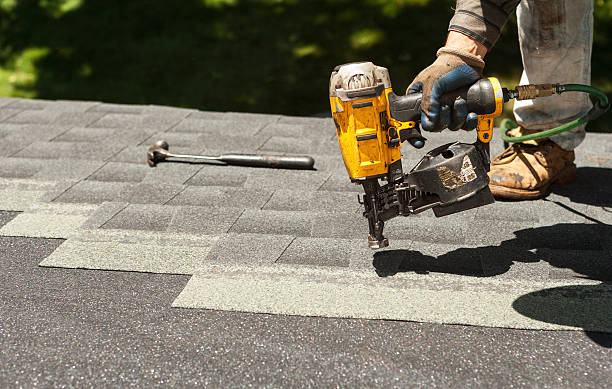 Best Roof Gutter Cleaning  in Willmar, MN